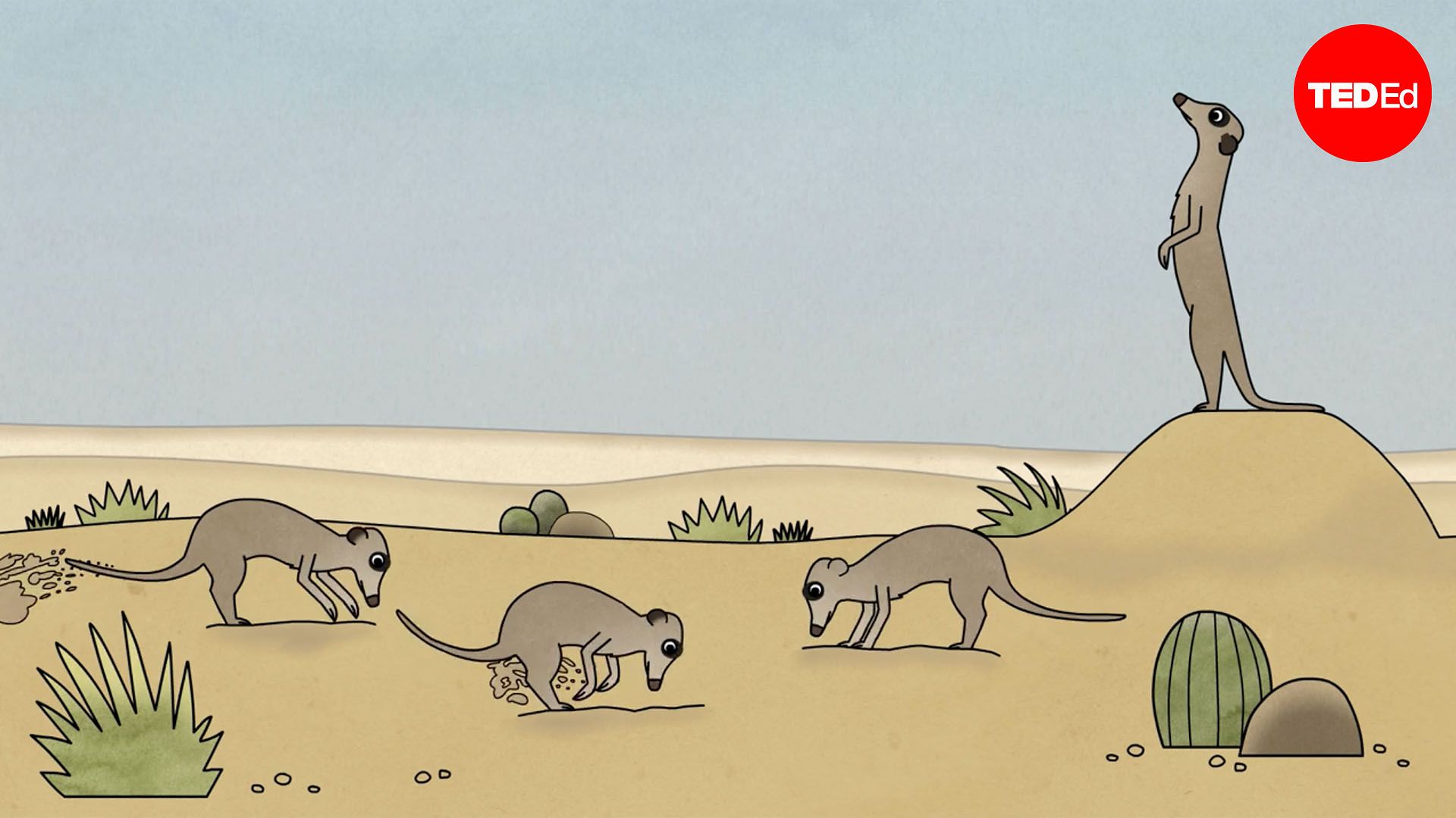 Why animals help each other