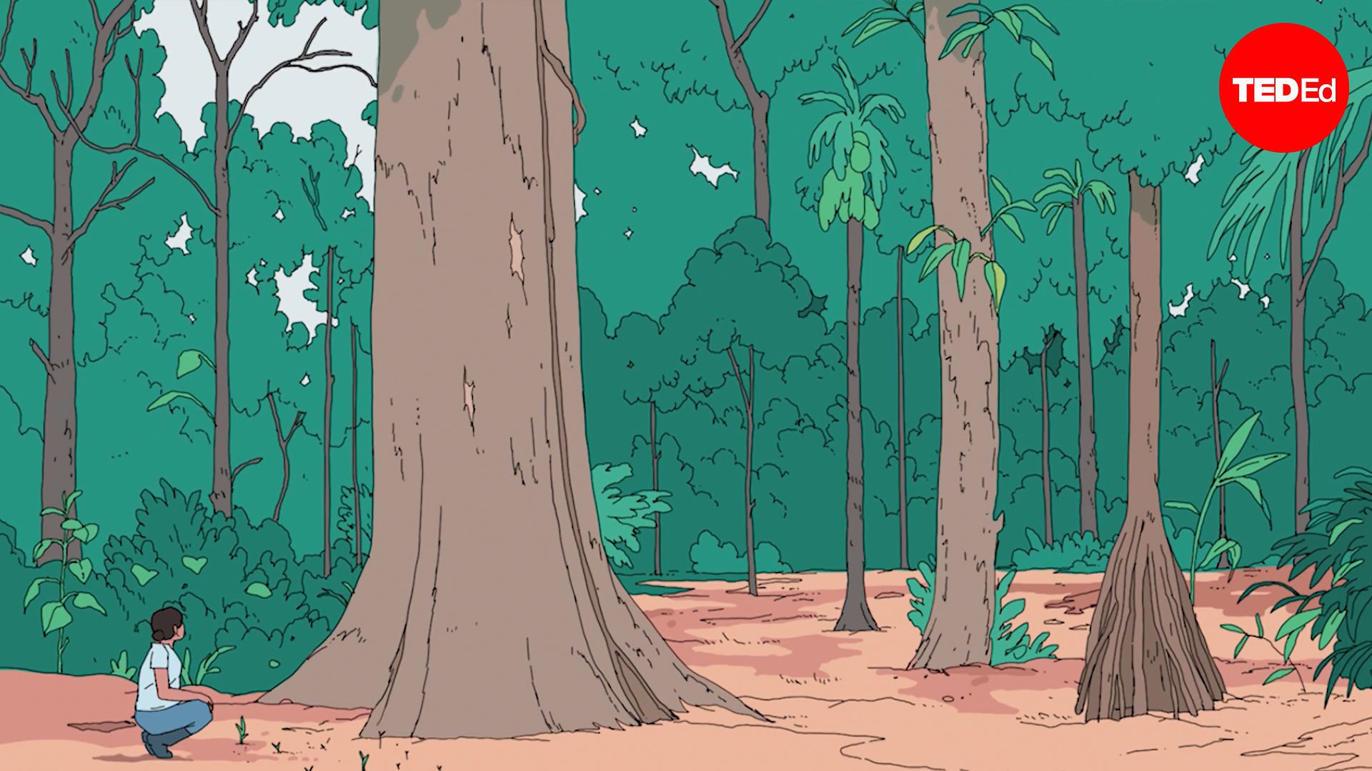 ¿Qué pasaría si el selva amazónica desapareciera?