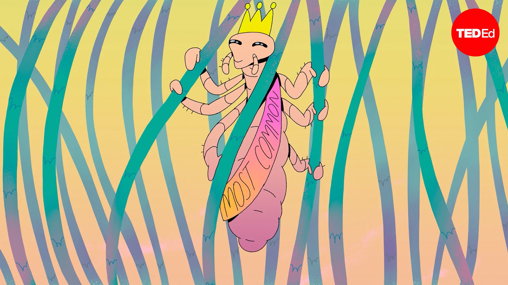 This is the most common way to get head lice