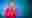 poster placeholder