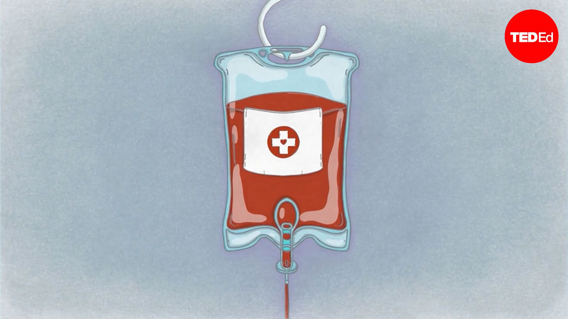 Why was bloodletting so popular?