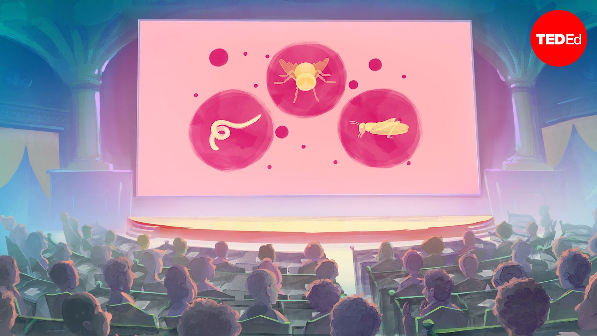 Which species would you get rid of? | Ada, Ep. 5