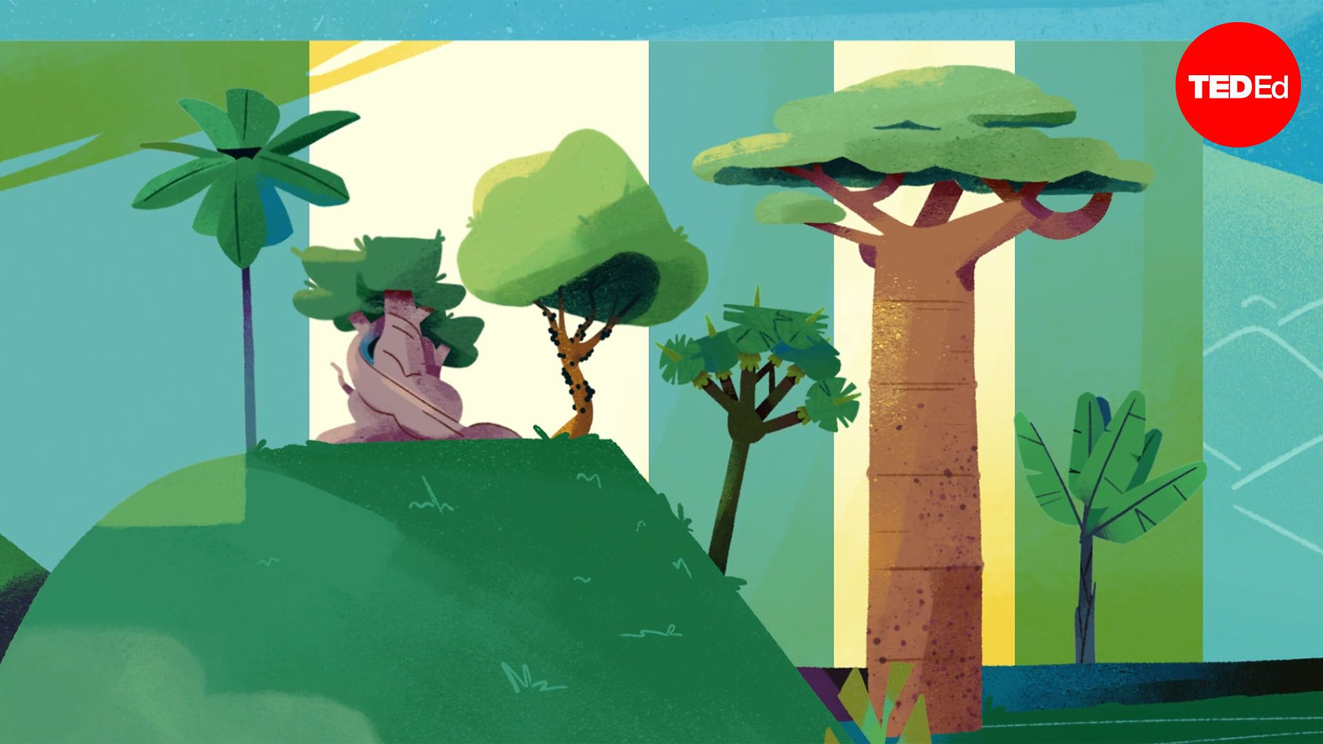 No one really knows what a tree is