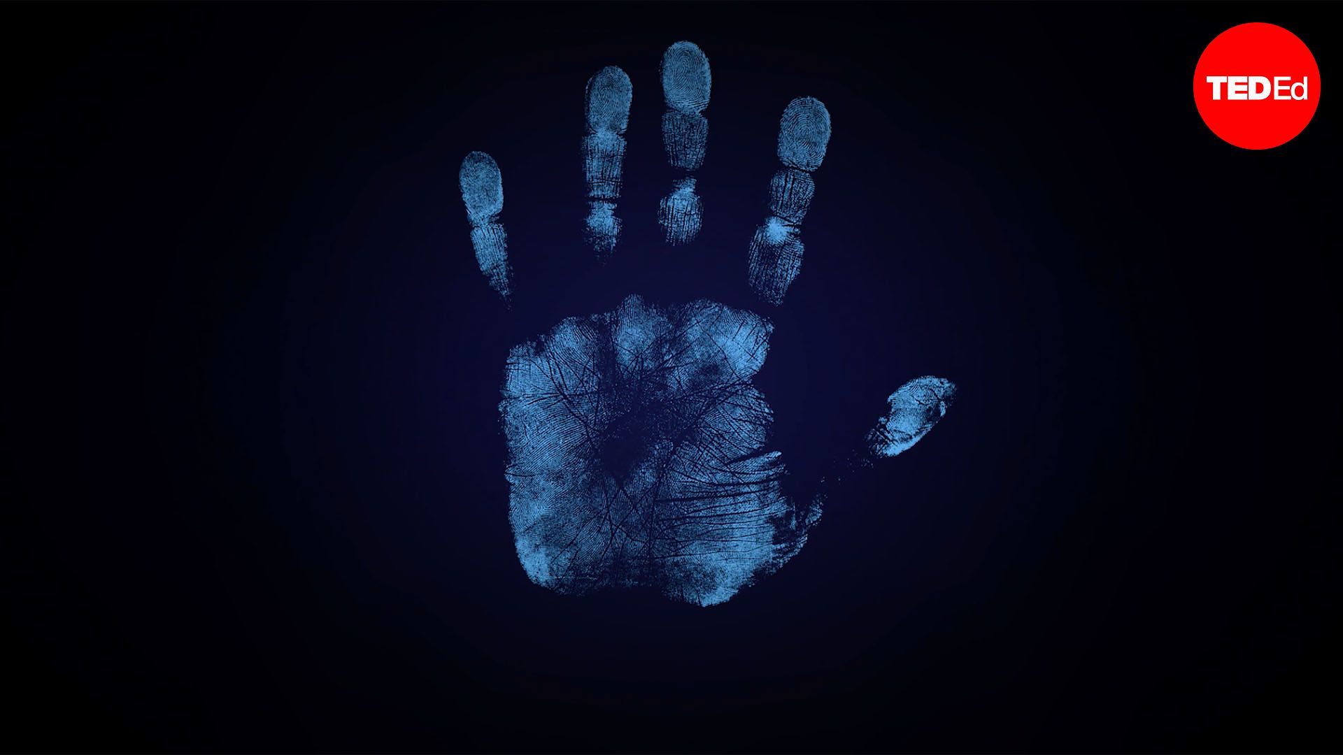 How did detectives solve the case of the bloody fingerprints?