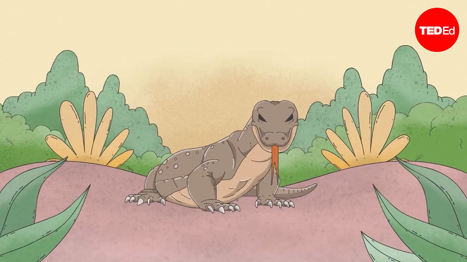 Can you survive a Komodo dragon bite?