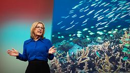 A new lifeline for the world's coral reefs