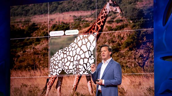 These AI devices protect nature in real time