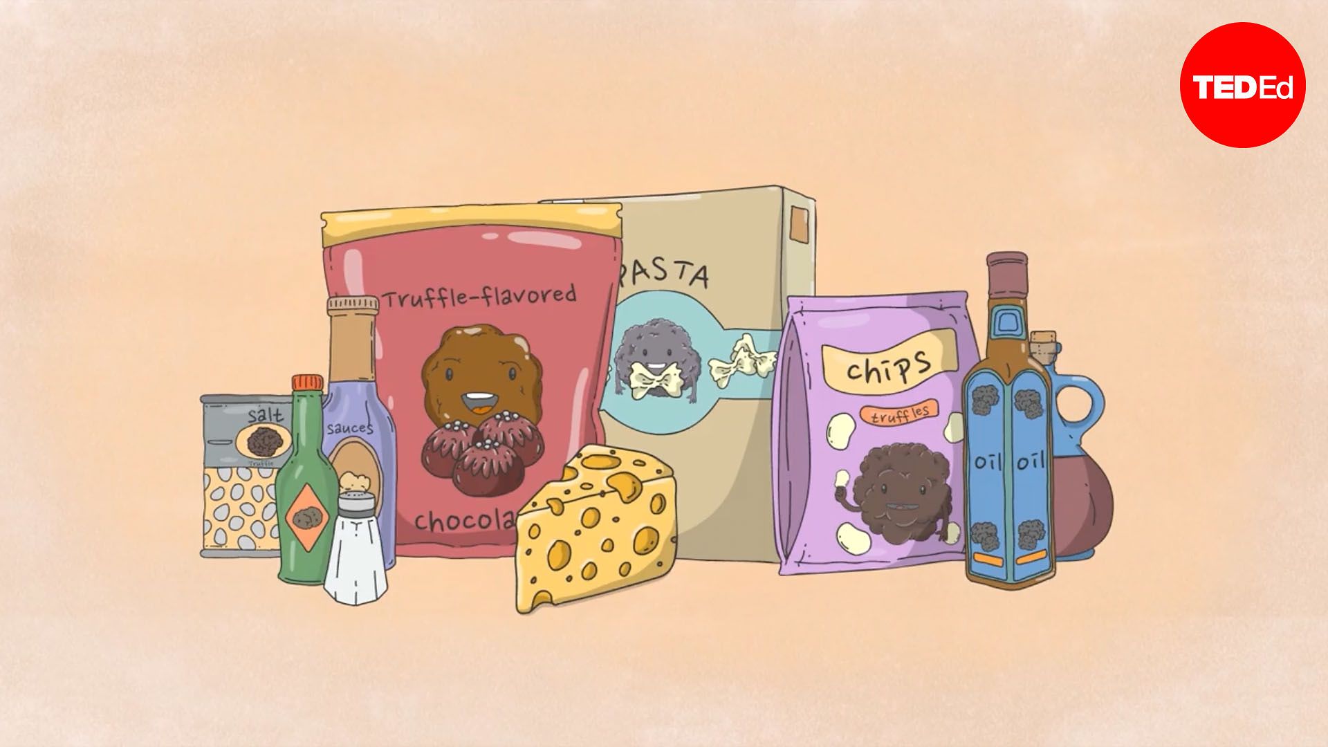 What are truffles, and why are they so expensive?