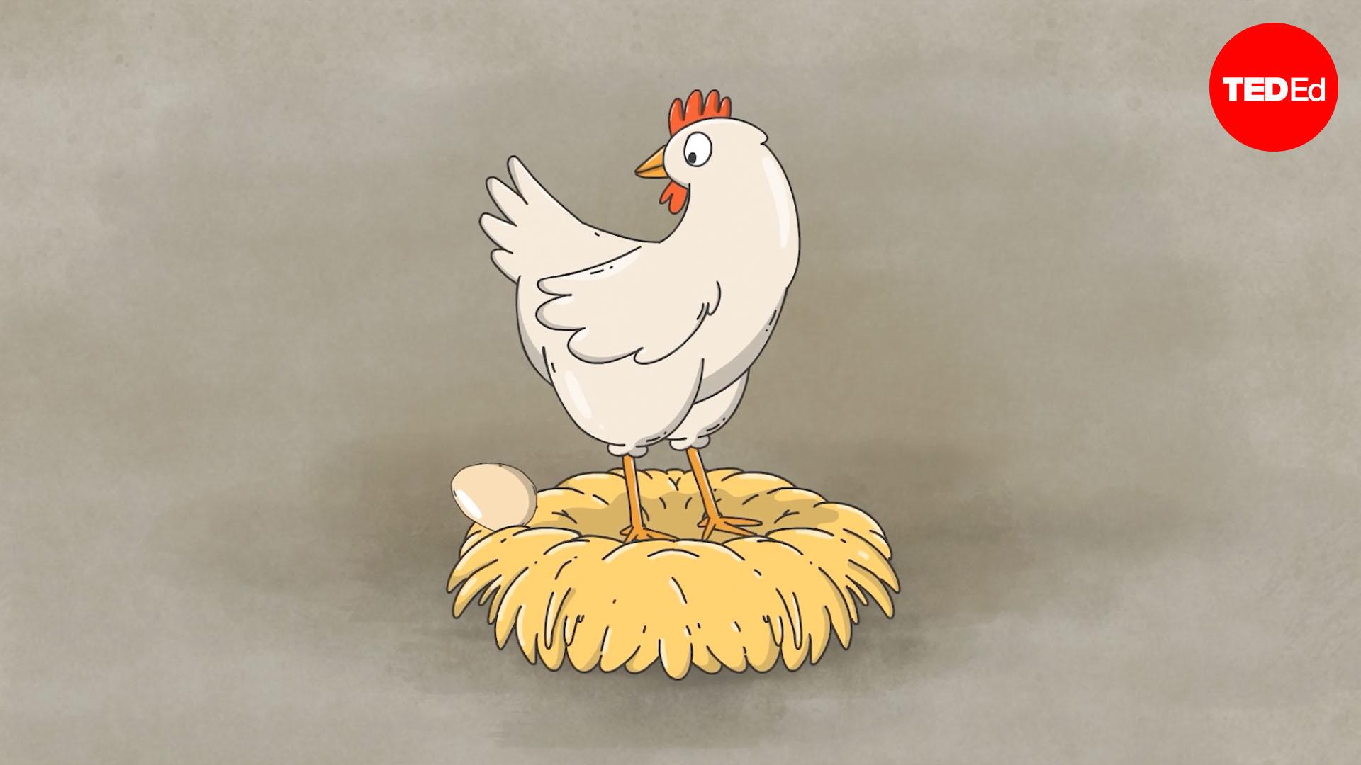 Is it really that bad to eat cookie dough?