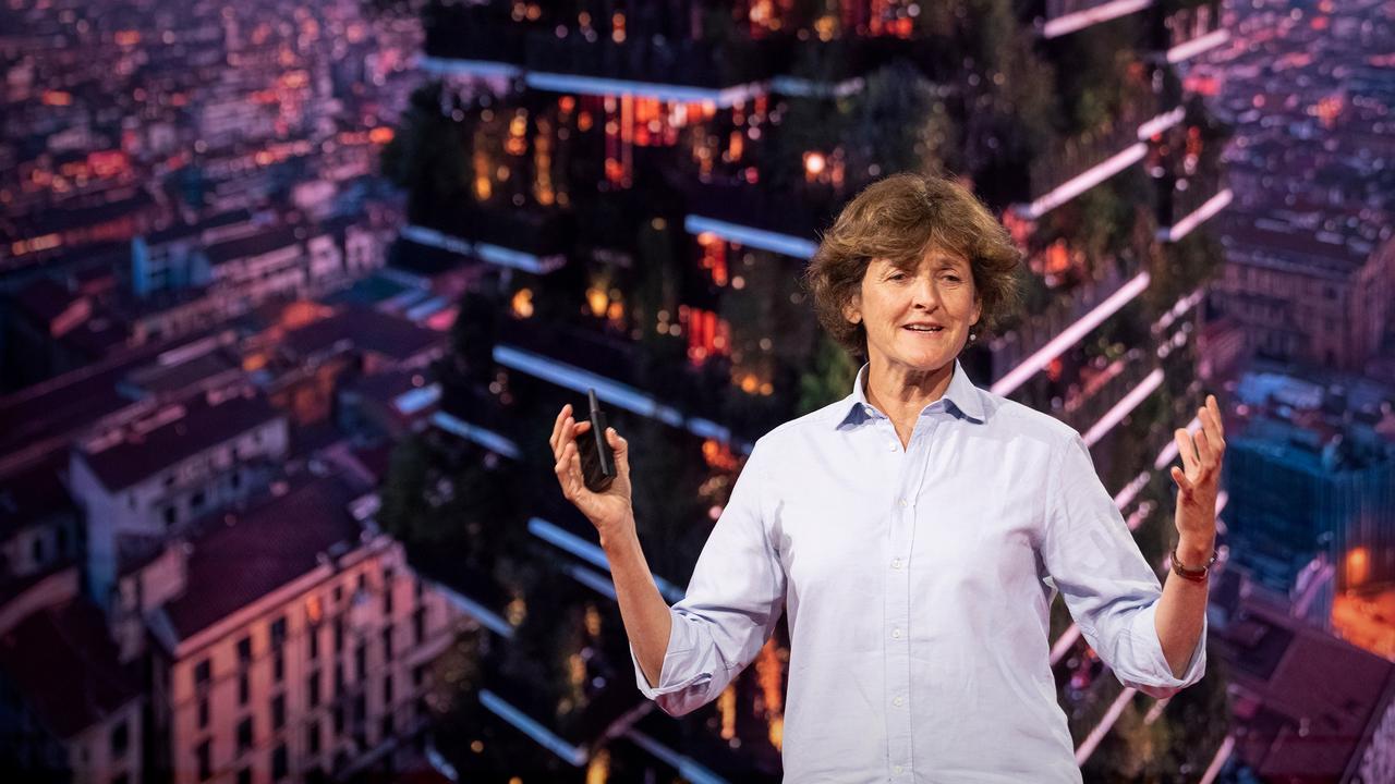 TED Talk