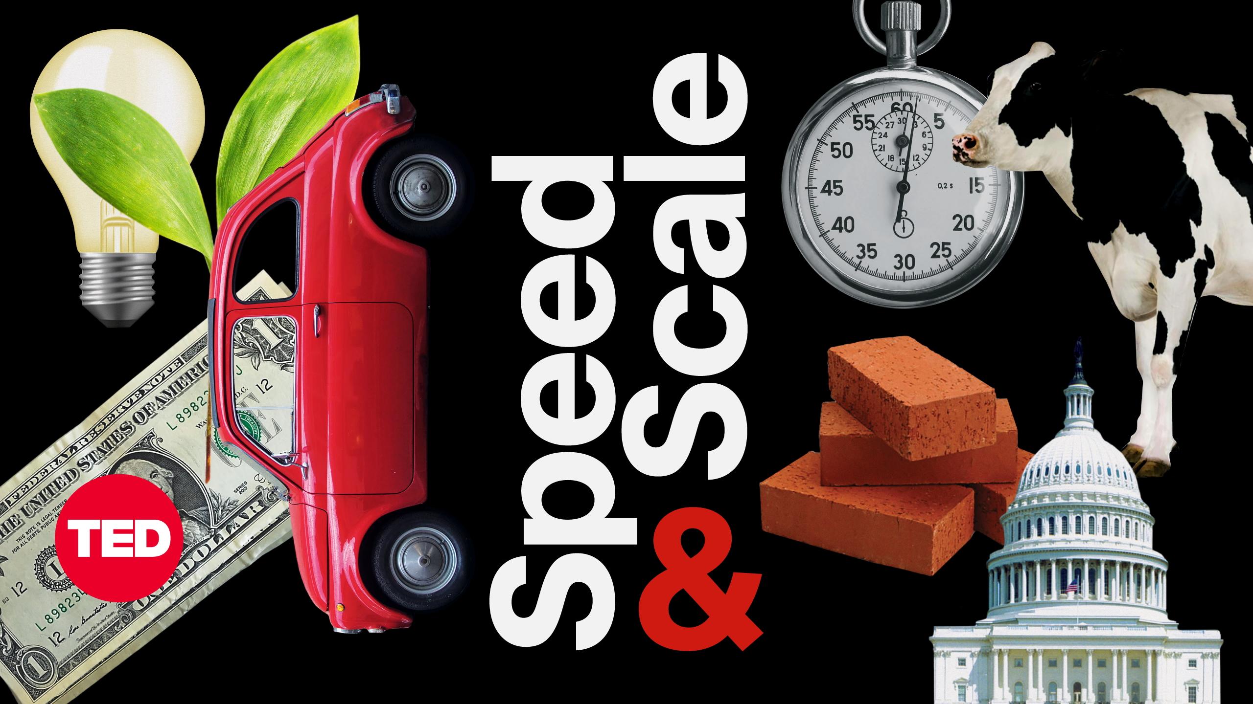 How a special seaweed is lowering methane emissions—one cow burp at a time