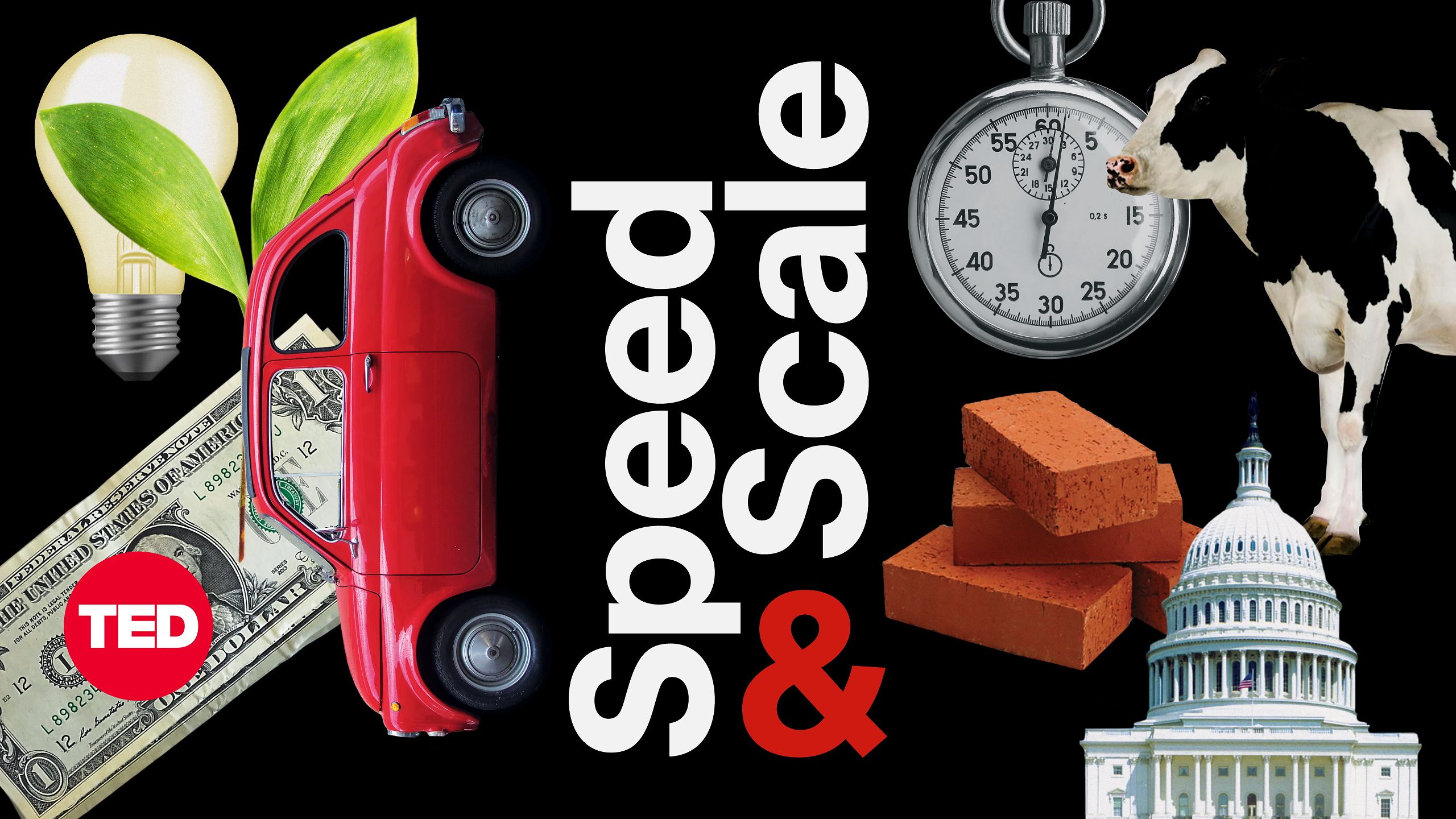 How a special seaweed is lowering methane emissions—one cow burp at a time