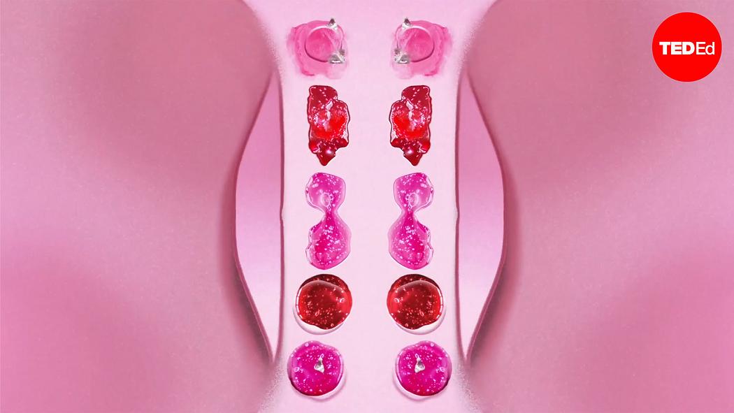 What is vaginal discharge, and what does...