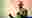 poster placeholder