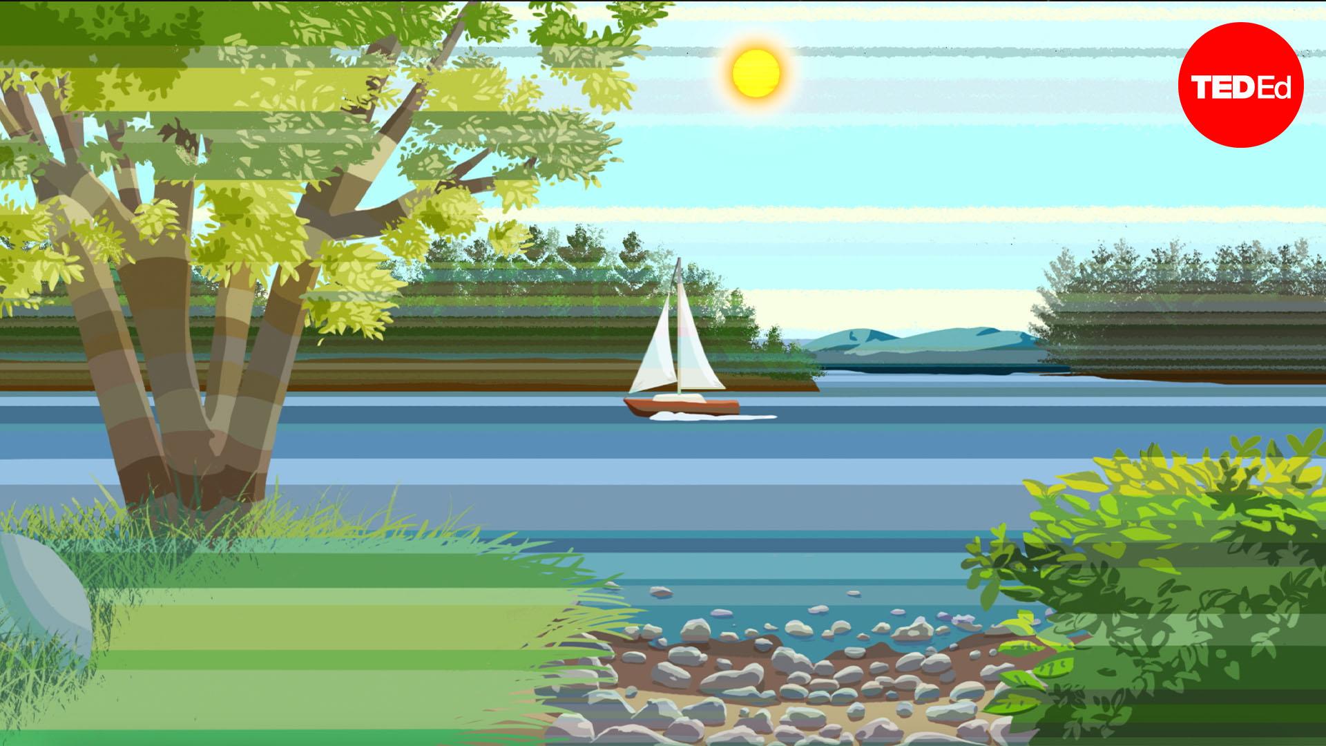 The Sun's surprising movement across the sky