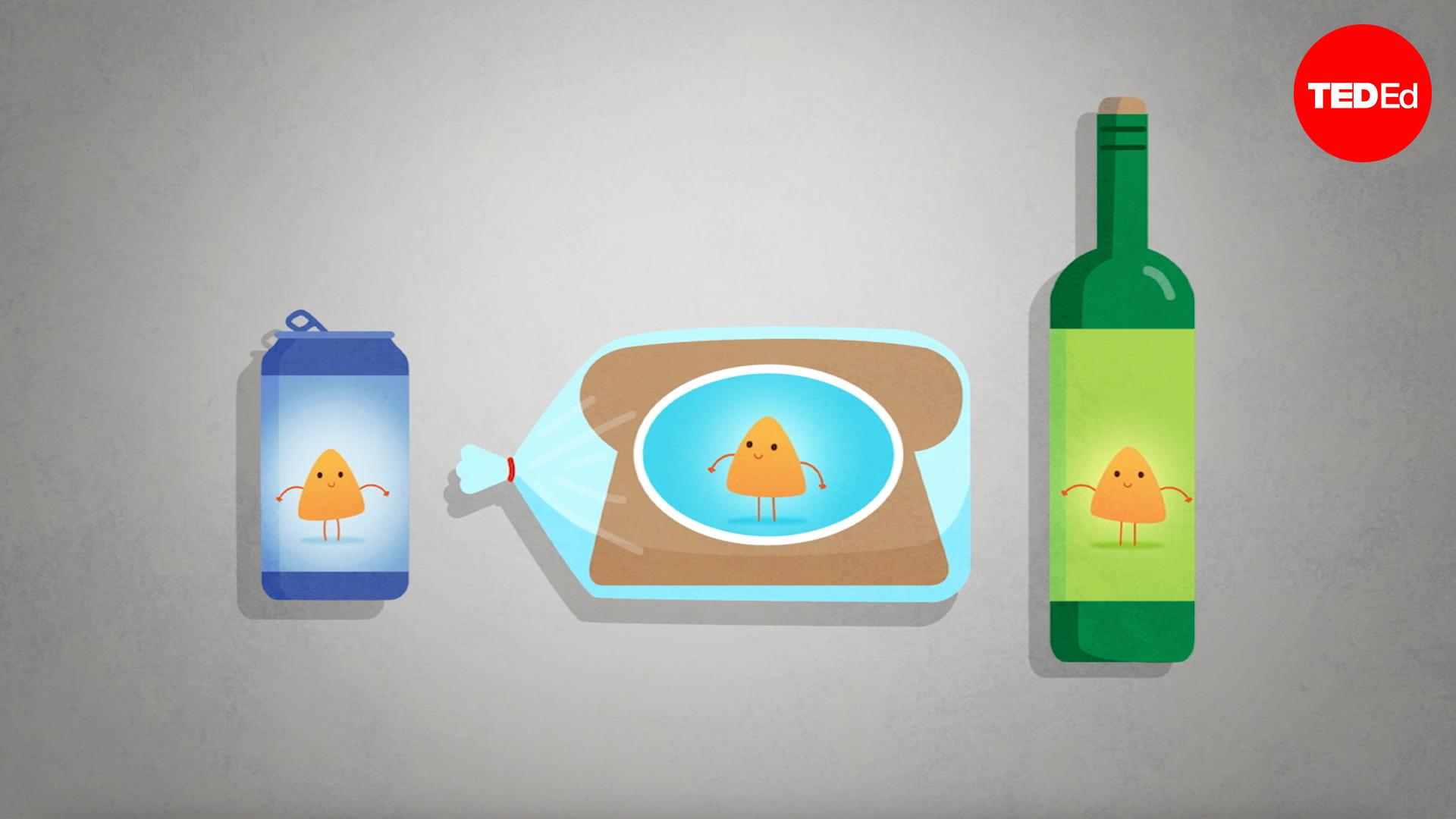 The beneficial bacteria that make delicious food