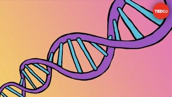 Cláudio L. Guerra: Rosalind Franklin: DNA's unsung hero