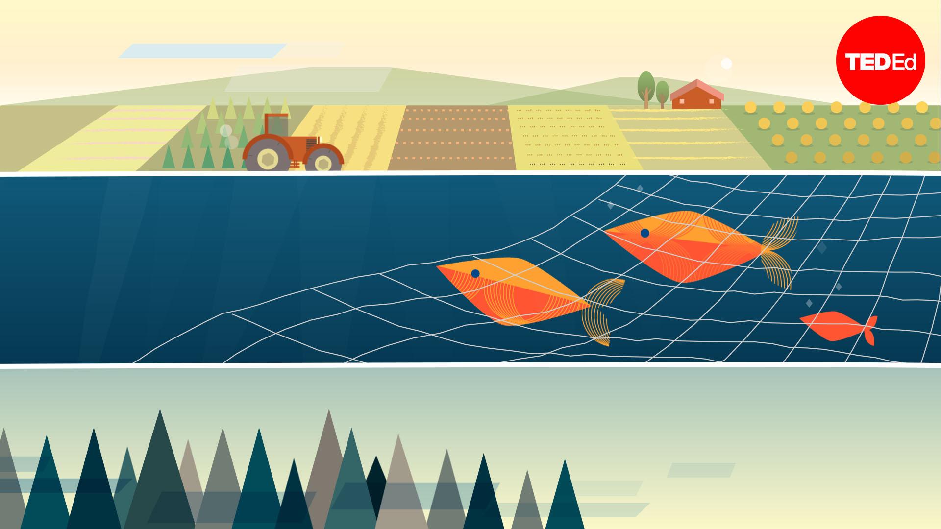 How long will human impacts last?