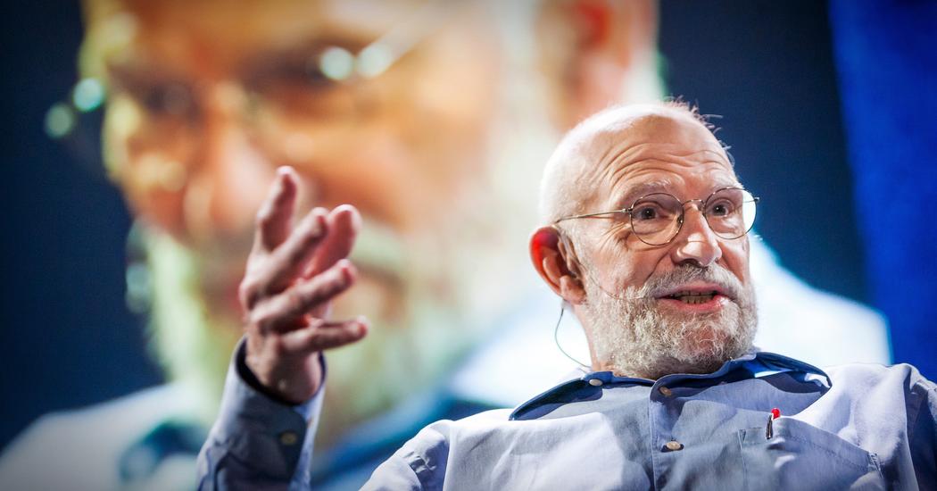 What hallucination reveals about our minds