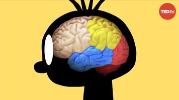 Ralitsa Petrova: Could your brain repair itself?