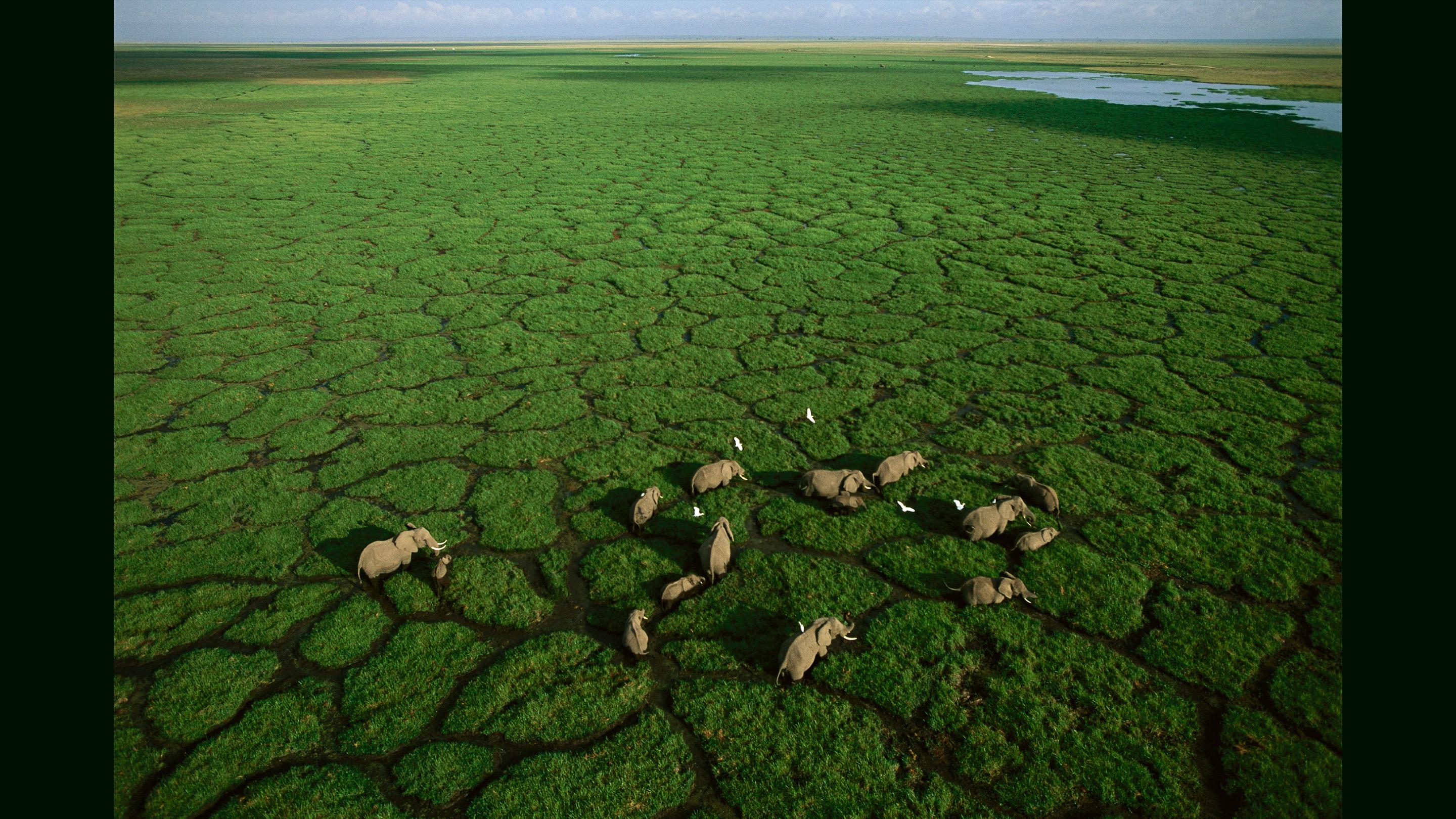 アフリカの写真を 空飛ぶデッキチェアから撮る | ジョージ・スタインメッツ