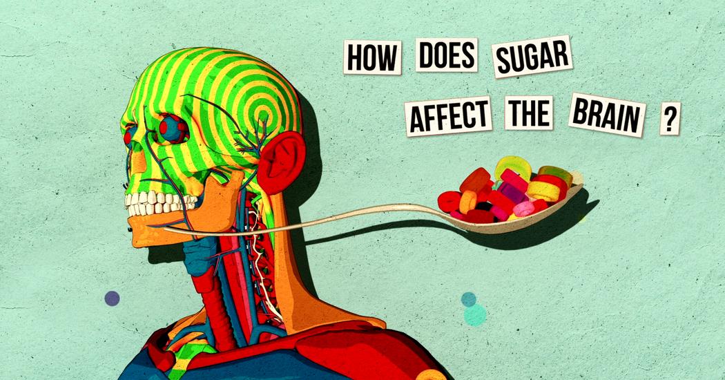 How sugar affects the brain