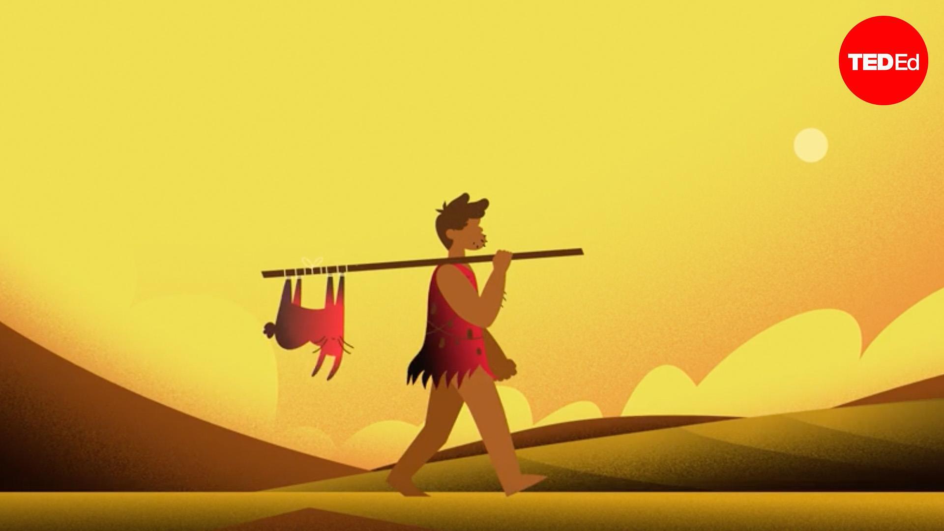 TED-Ed: What if you experienced every human life in history? | TED Talk TED-Ed: What if you experienced every human life in history? | TED Talk