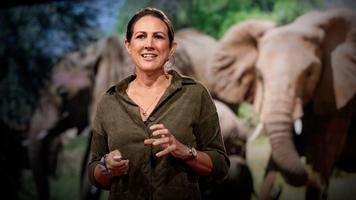 Lucy King: How bees can keep the peace between elephants and humans