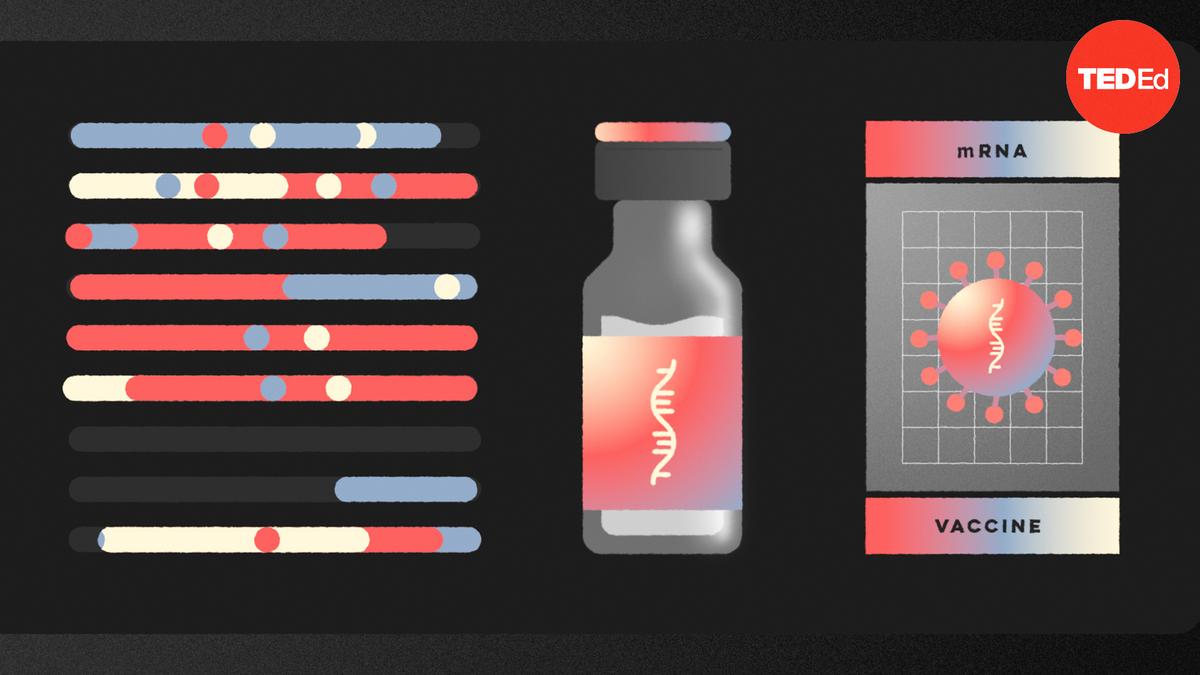 Dan Kwartler How fast can a vaccine be made? TED Talk