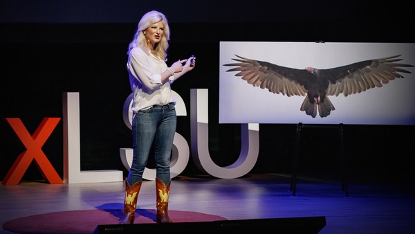 Lauren Pharr: How vultures can help solve crimes