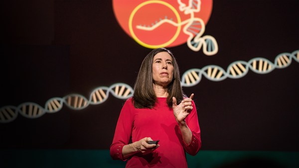 Ellen Jorgensen: What you need to know about CRISPR
