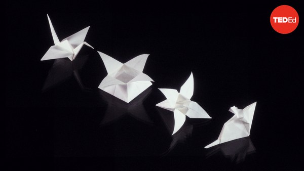 Evan Zodl: The unexpected math of origami