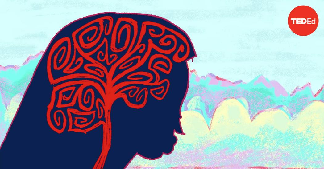 لماذا نحلم ايمي آدكنز