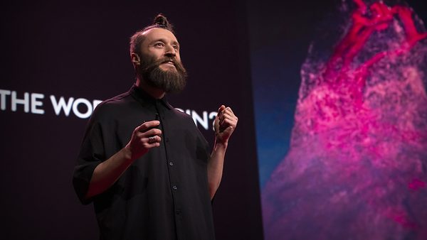What's it like to be a giant sequoia tree?