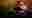 poster placeholder
