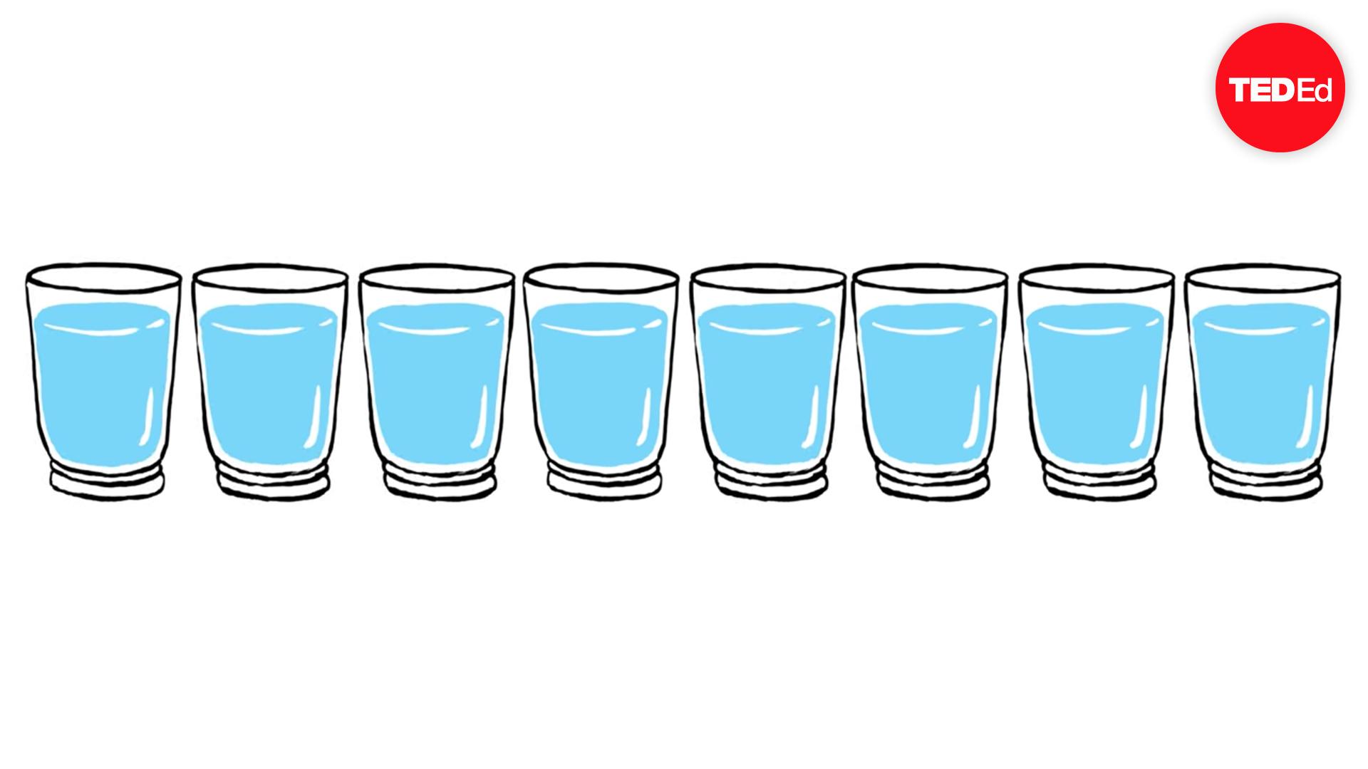 What would happen if you didn't drink water? | Mia Nacamulli