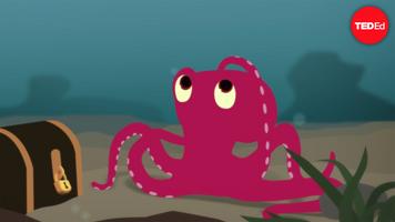 Cláudio Guerra: Why the octopus brain is so extraordinary