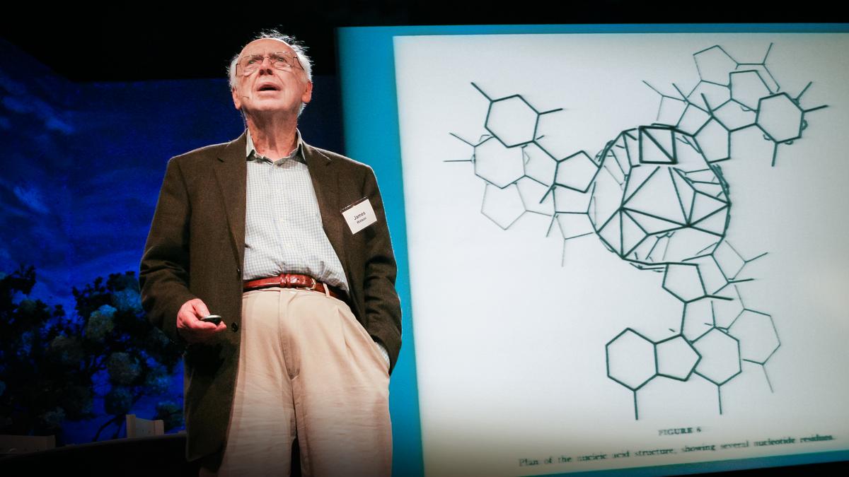 james watson and who discovered the structure of dna in 1959