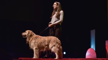 Julia Espinosa: The secret life of dogs