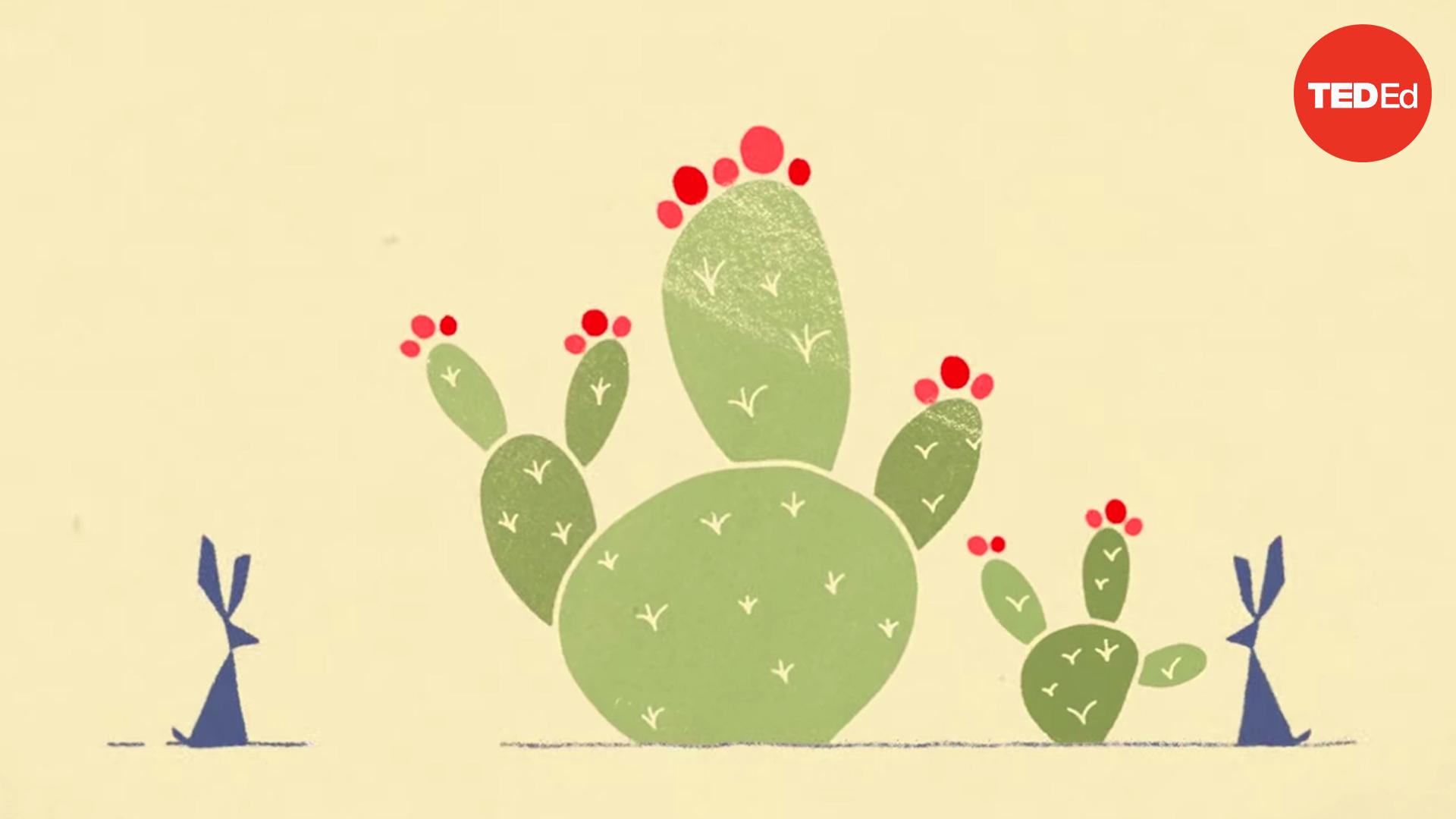 Nature's fortress: How cacti keep water in and predators out