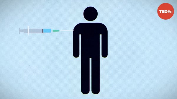  TED-Ed: Could one vaccine protect against everything?