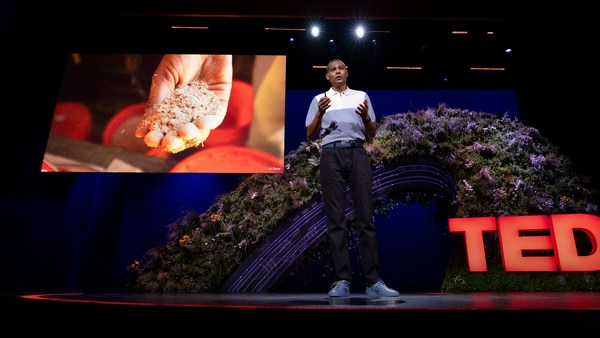 Ermias Kebreab: What seaweed and cow burps have to do with climate change