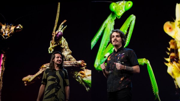 Leo Lanna and Lvcas Fiat: The colorful, shapeshifting wonder of the Amazon's praying mantises