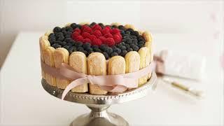 Anjila Hjalsted Defining Sustainability Absolutely Ted Talk