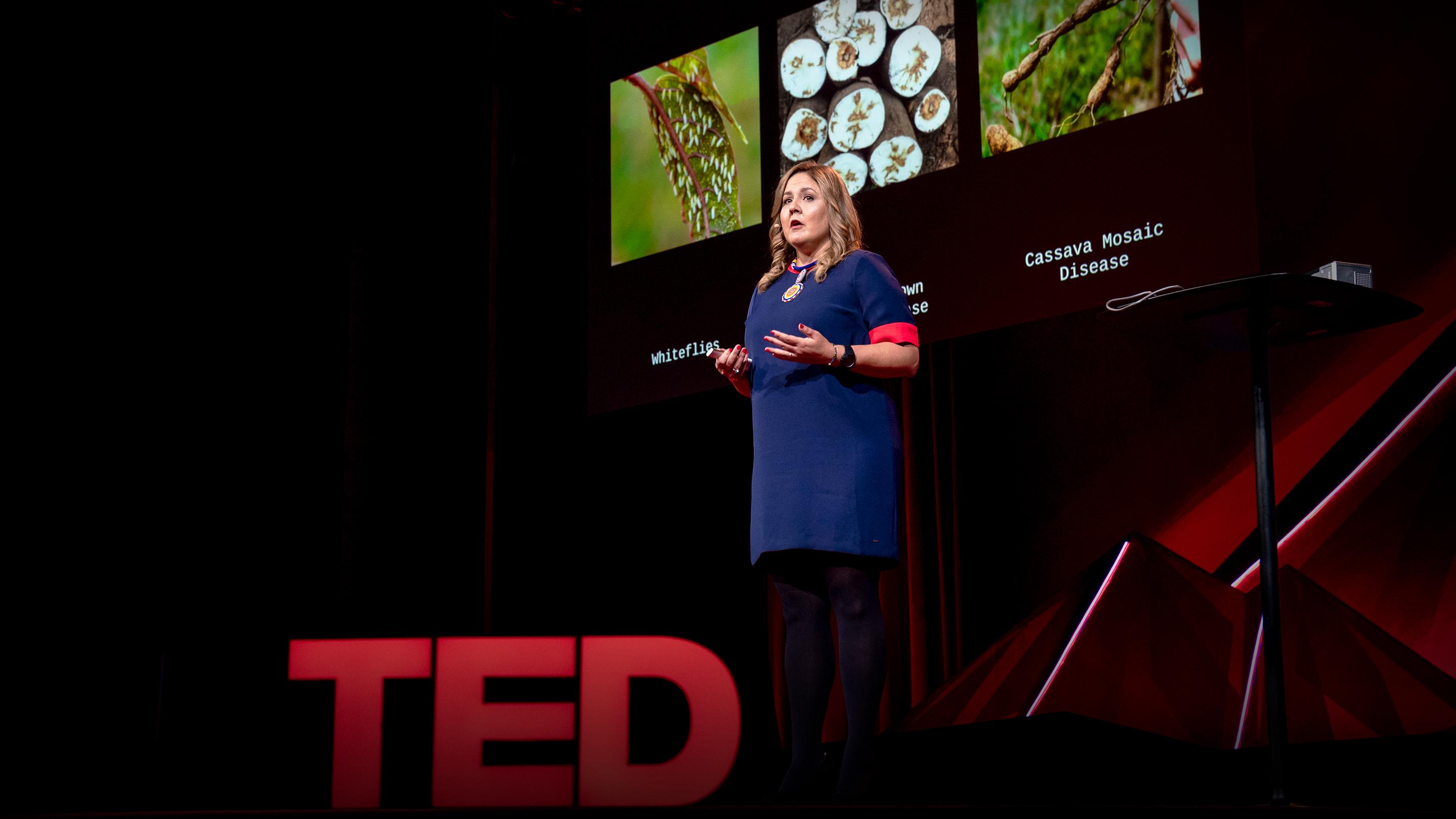 Como estamos usando tecnologia de DNA para ajudar agricultores a combater doenças nas plantações | Laura Boykin