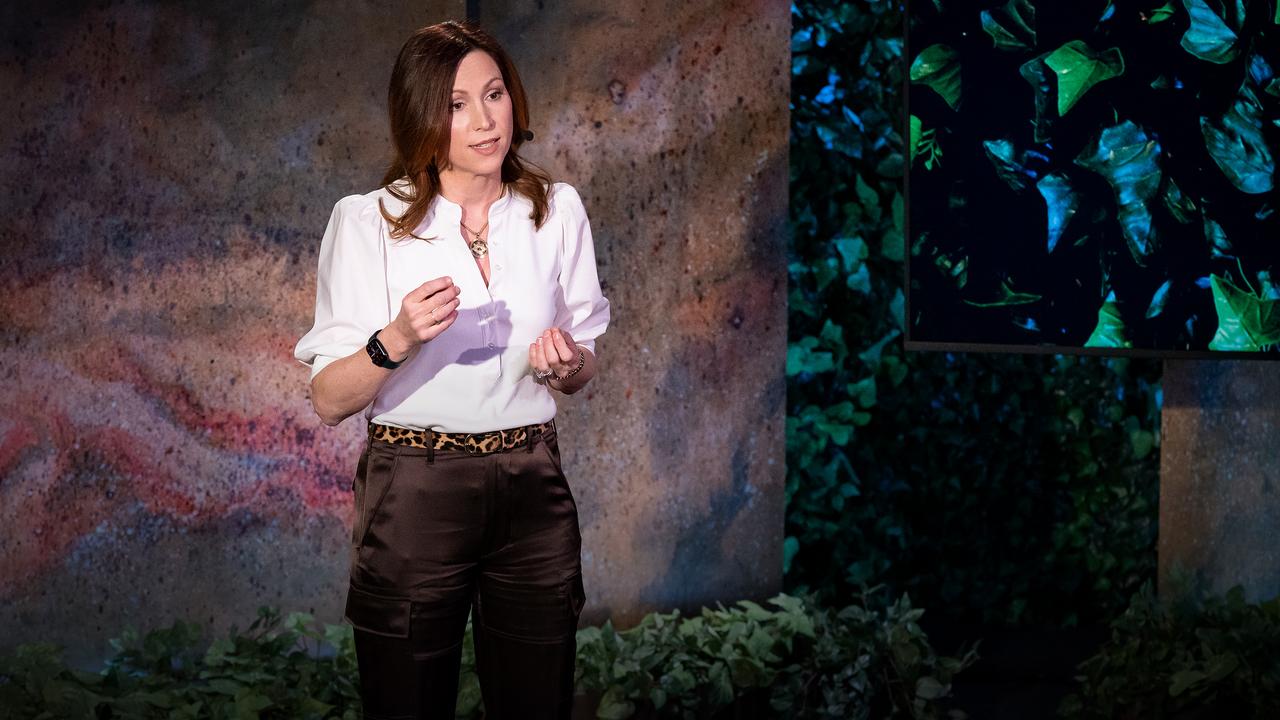 TED Talk