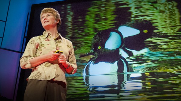 Janine Benyus: Biomimicry in action