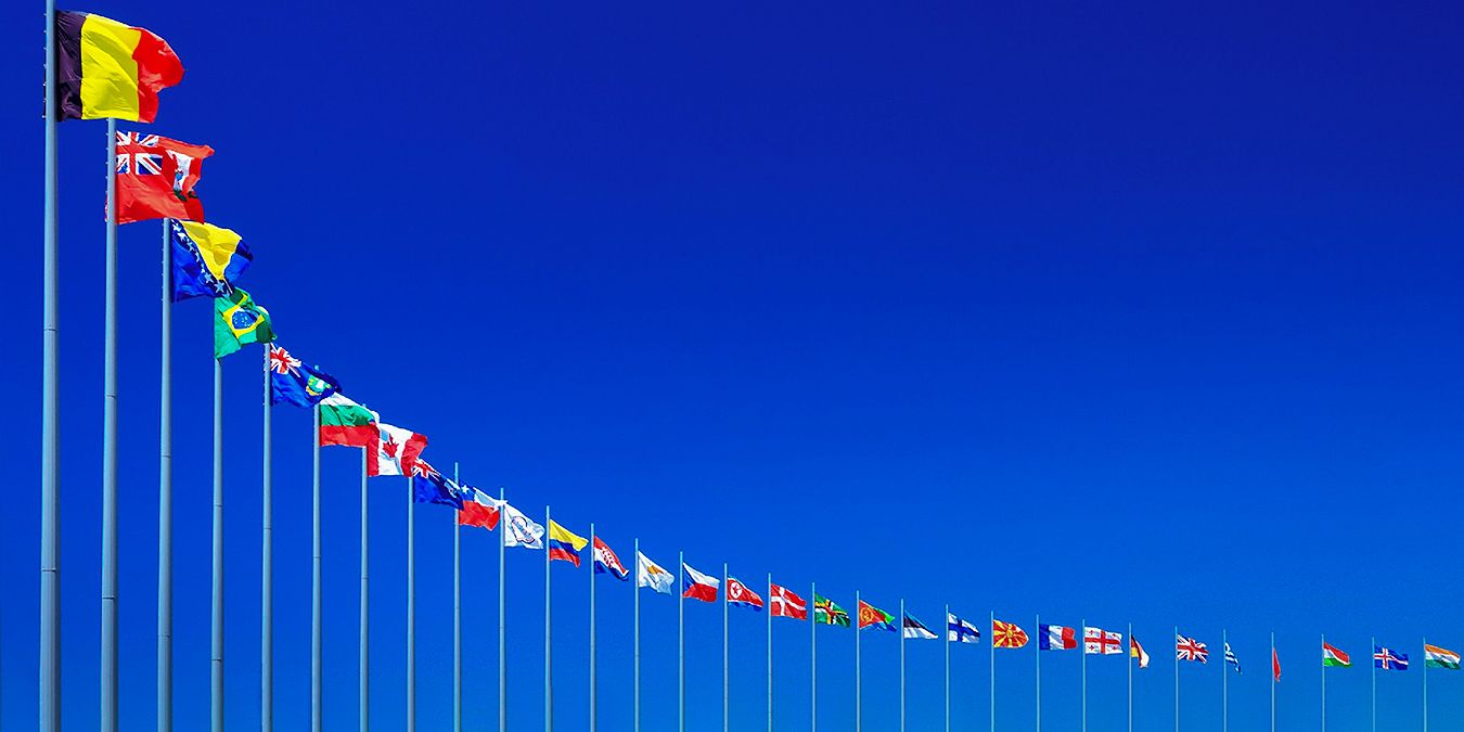 How flags unite (and divide) us