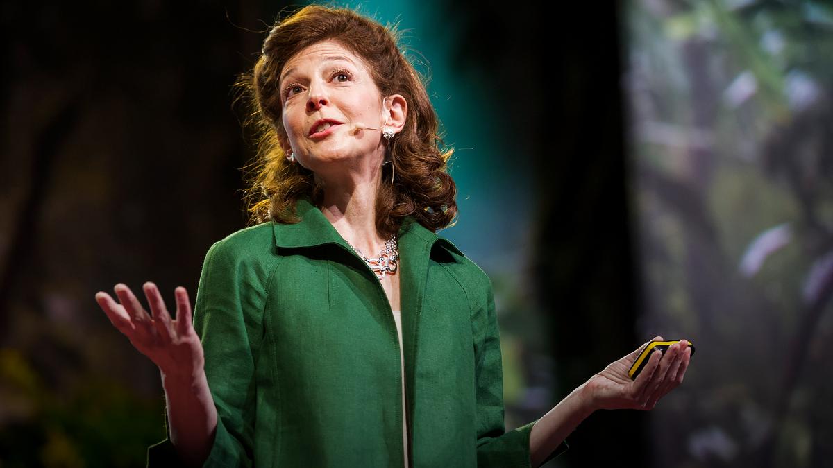 pamela-meyer-pamela-meyer-c-mo-descubrir-a-un-mentiroso-ted-talk