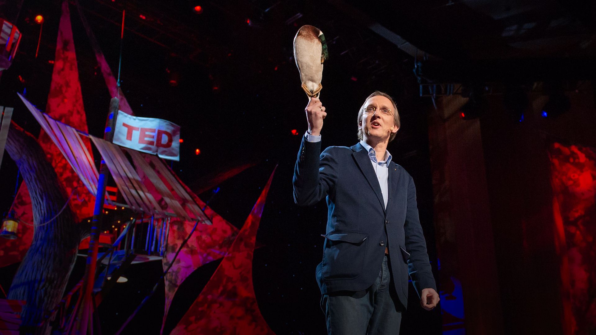 Kees Moeliker How a dead duck changed my life TED Talk